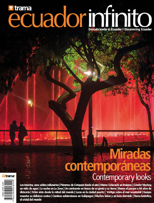 Ecuador Infinito 31: Miradas contemporáneas