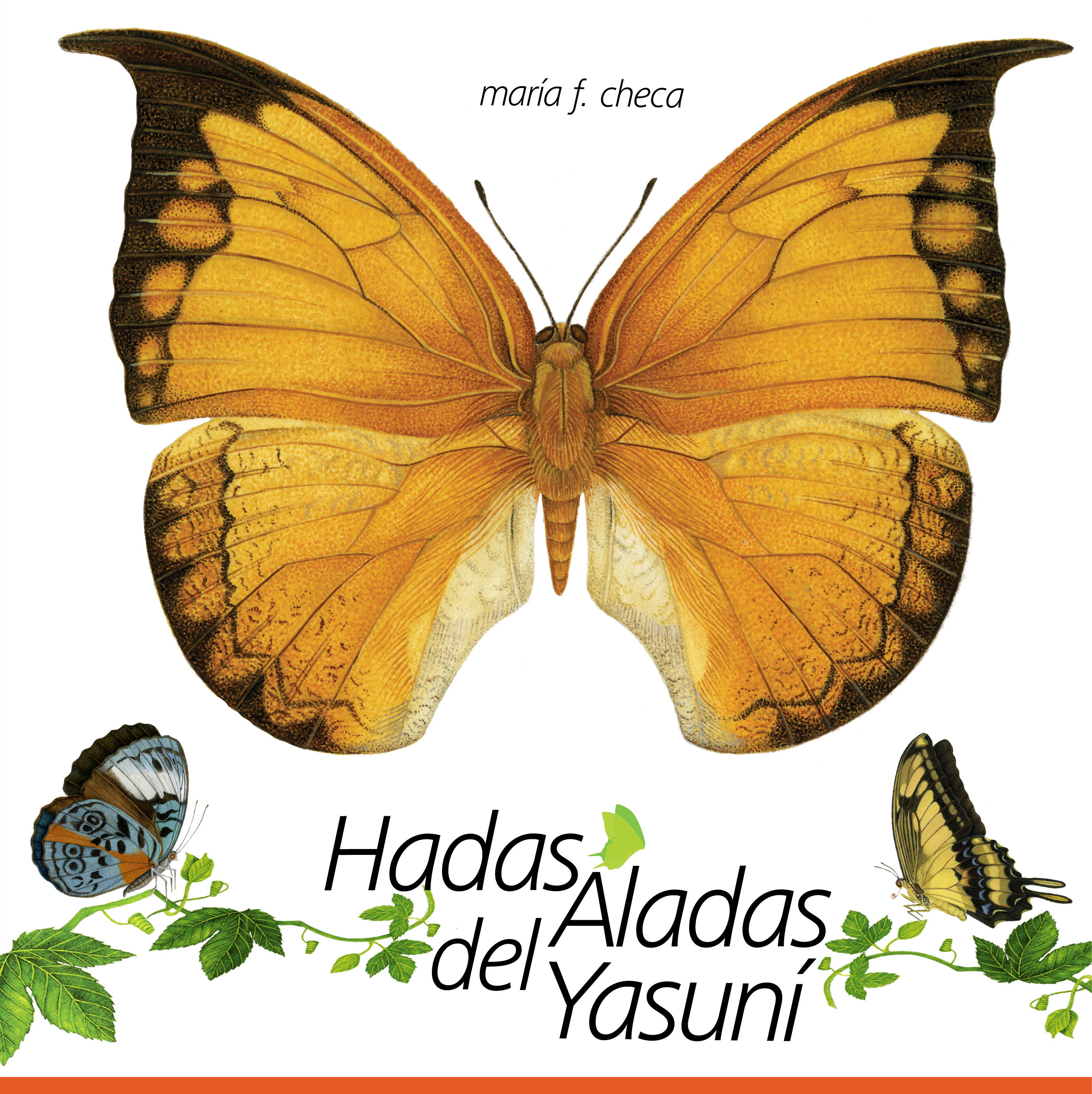 Hadas Aladas del Yasuní