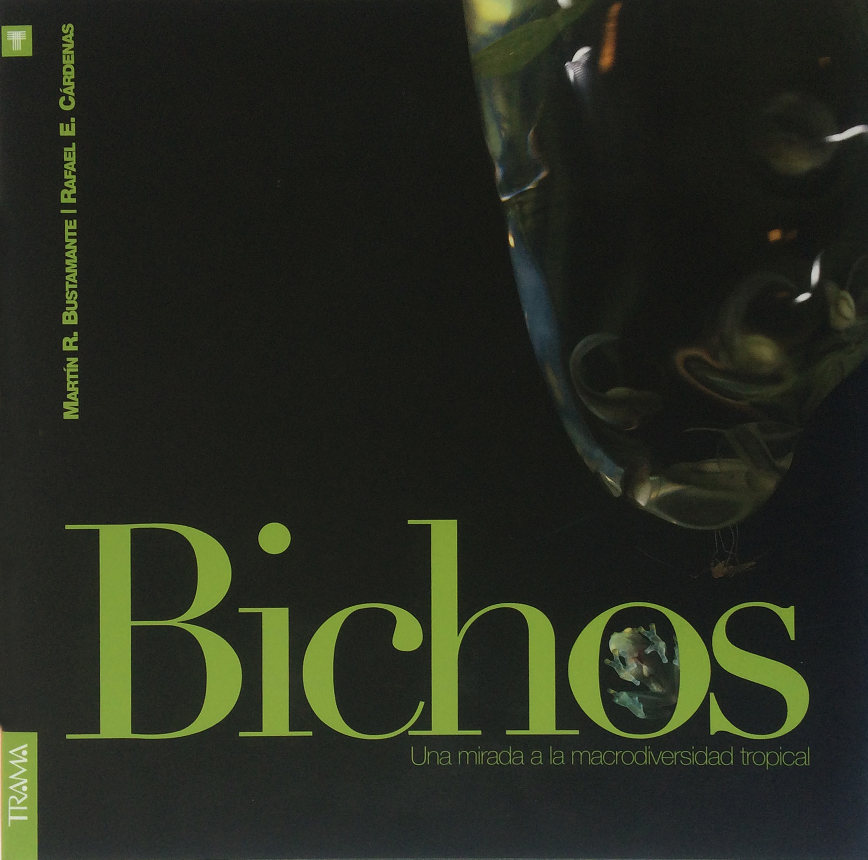 Bichos, una mirada a la macrodiversidad tropical 